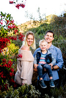 Barnhardt Family Session - Annie's Canyon