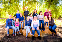Brown Family Session