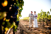 Wendy and Ryan Wedding - South Coast Winery